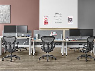 Well lit workspace with a two piece Renew Link and individual desk positioned against the wall with three Aeron chairs behind each work surface